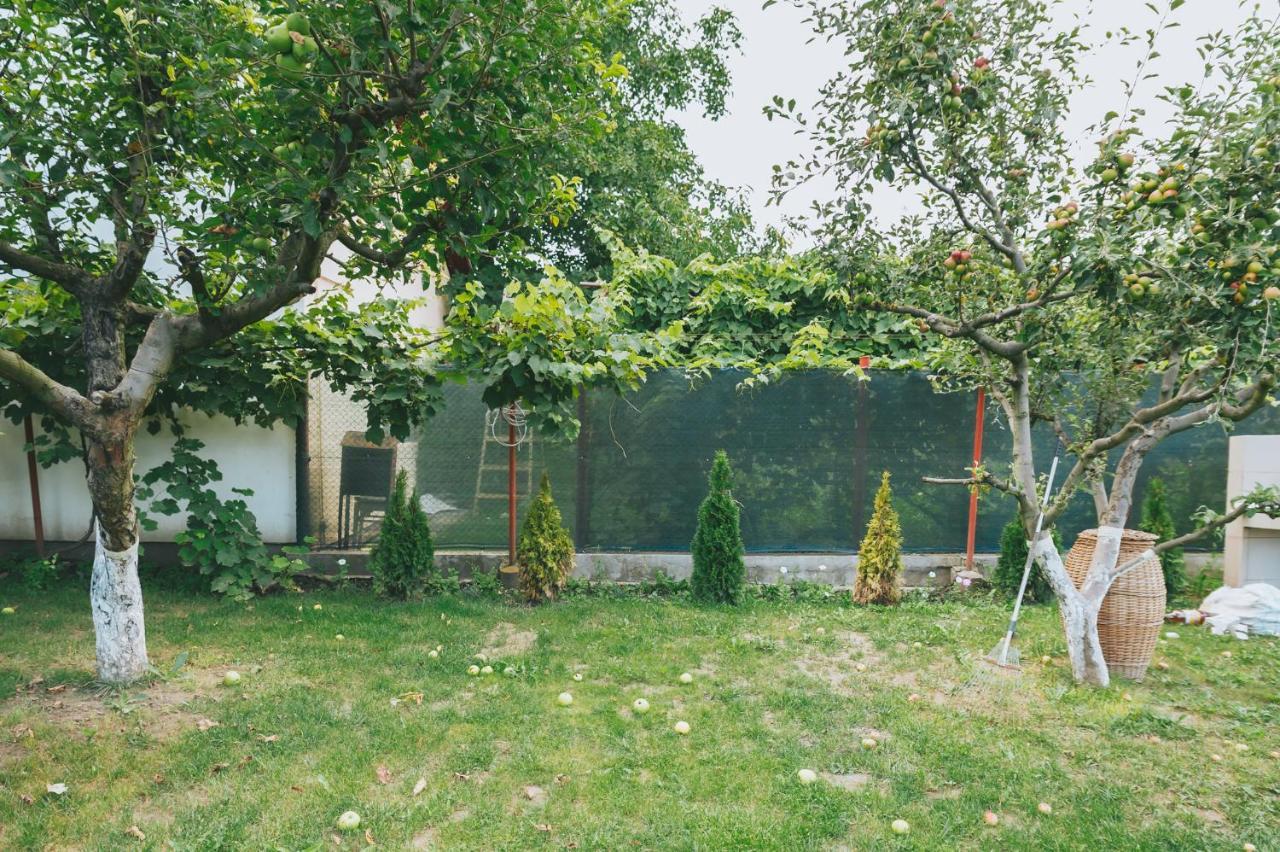 Casa Vinco Vici Ξενοδοχείο Τούρντα Εξωτερικό φωτογραφία