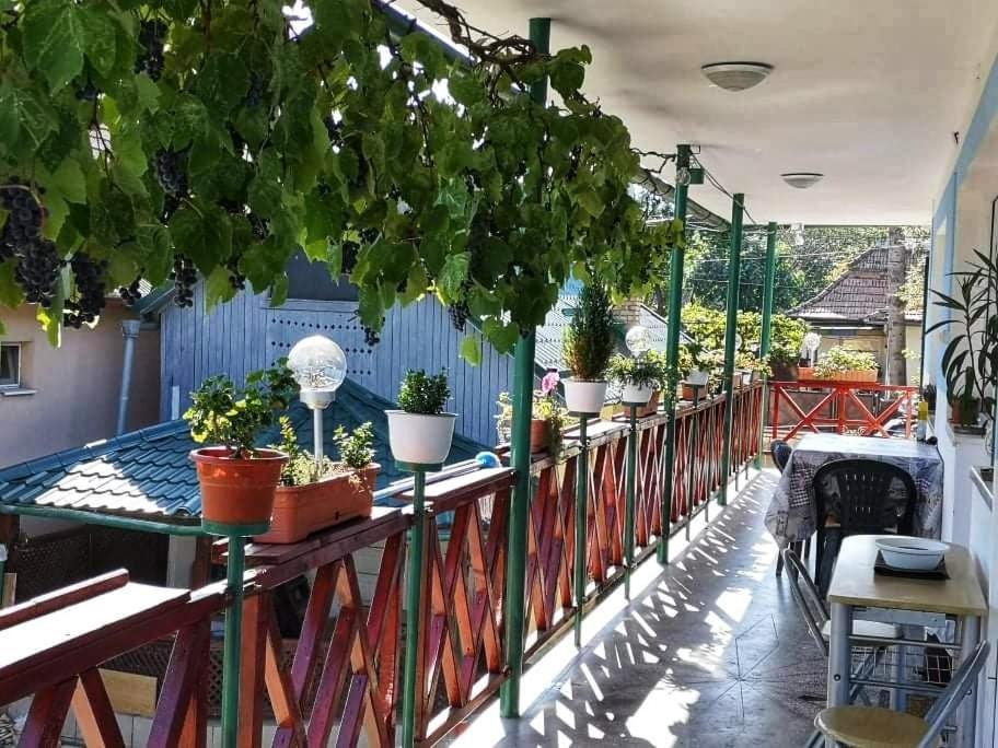 Casa Vinco Vici Ξενοδοχείο Τούρντα Εξωτερικό φωτογραφία
