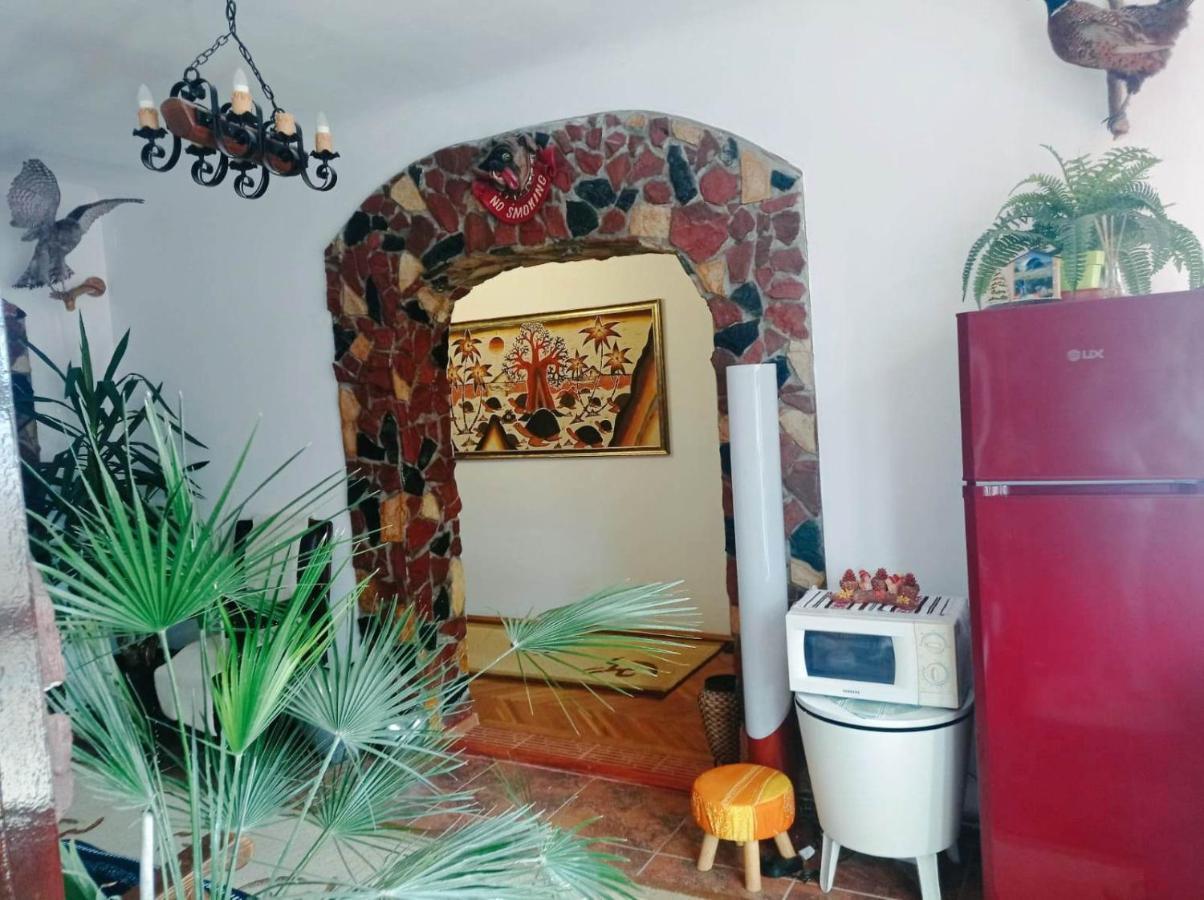 Casa Vinco Vici Ξενοδοχείο Τούρντα Εξωτερικό φωτογραφία